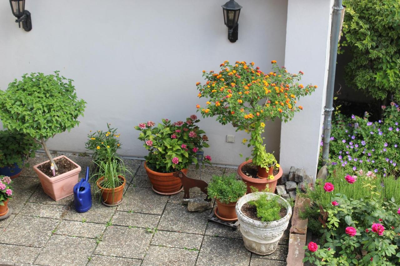 Apartment Auszeit Im Rheingau *